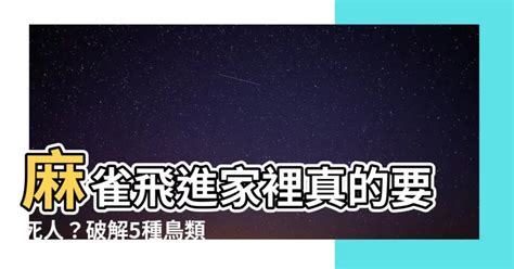 雀鳥飛入屋|【麻雀飛進家裏代表什麼】麻雀飛進家裡代表什麼？福禍吉凶大公。